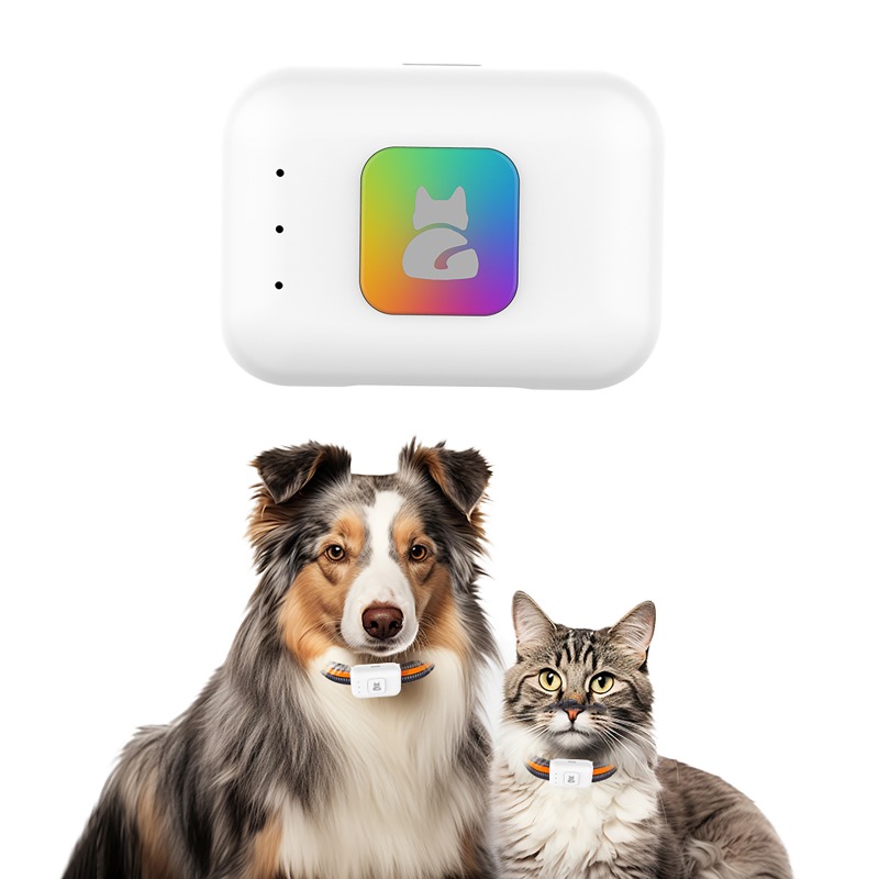 Dispositivo de seguimiento GPS - Pet Supplies Discount reseña y precio