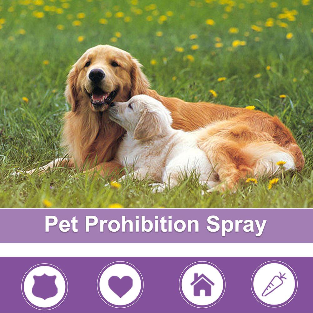 Spray Calmante para Mascotas,  - Pet Supplies Discount reseña y precio