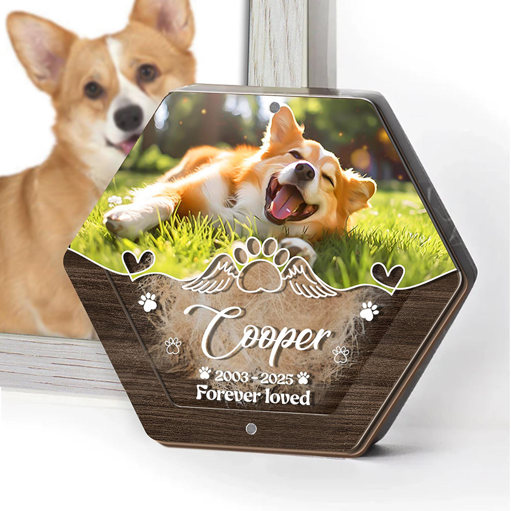 Caja de almacenamiento de pelo - Pet Supplies Discount reseña y precio