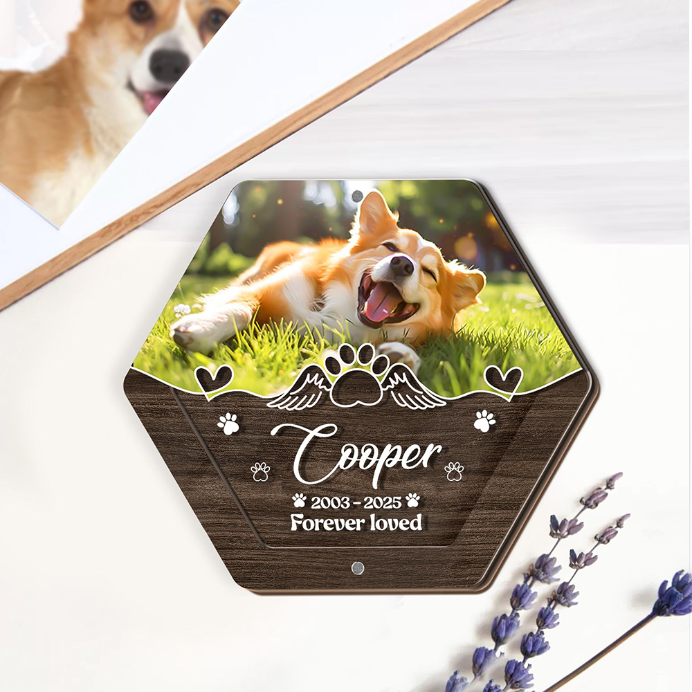 Caja de almacenamiento de pelo - Pet Supplies Discount reseña y precio