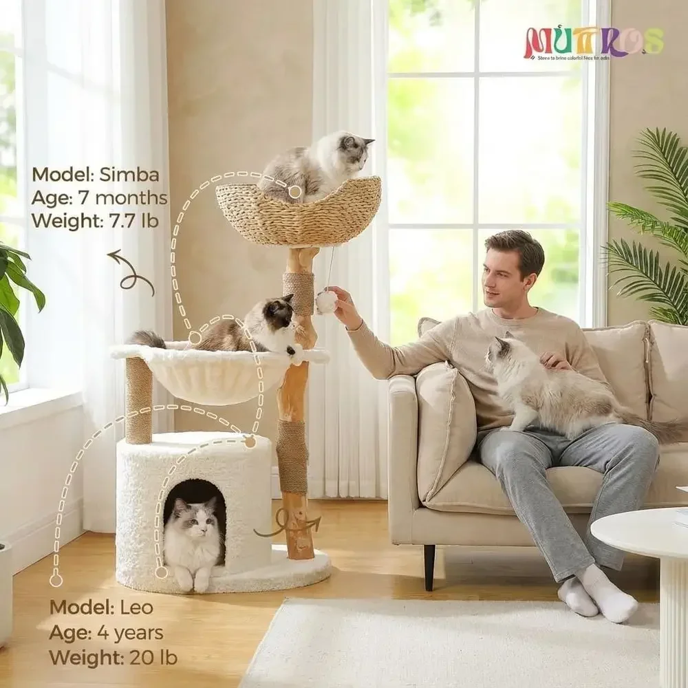 Árbol para Gatos Grande y Acog - Cat Scratching Post reseña y precio