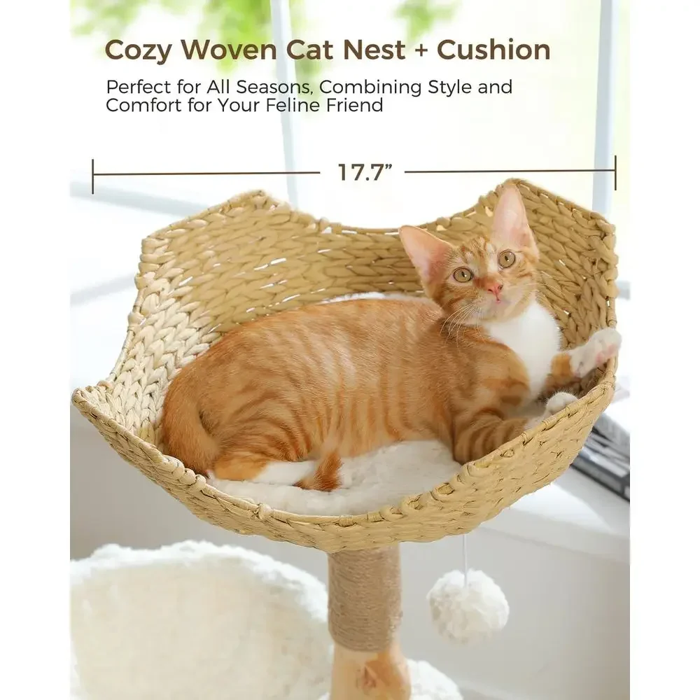 Árbol para Gatos Grande y Acog - Cat Scratching Post reseña y precio