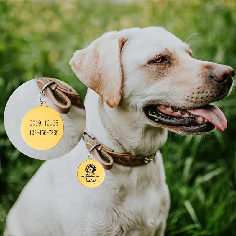 Collares Antipérdida Personali - Pet Supplies Discount reseña y precio