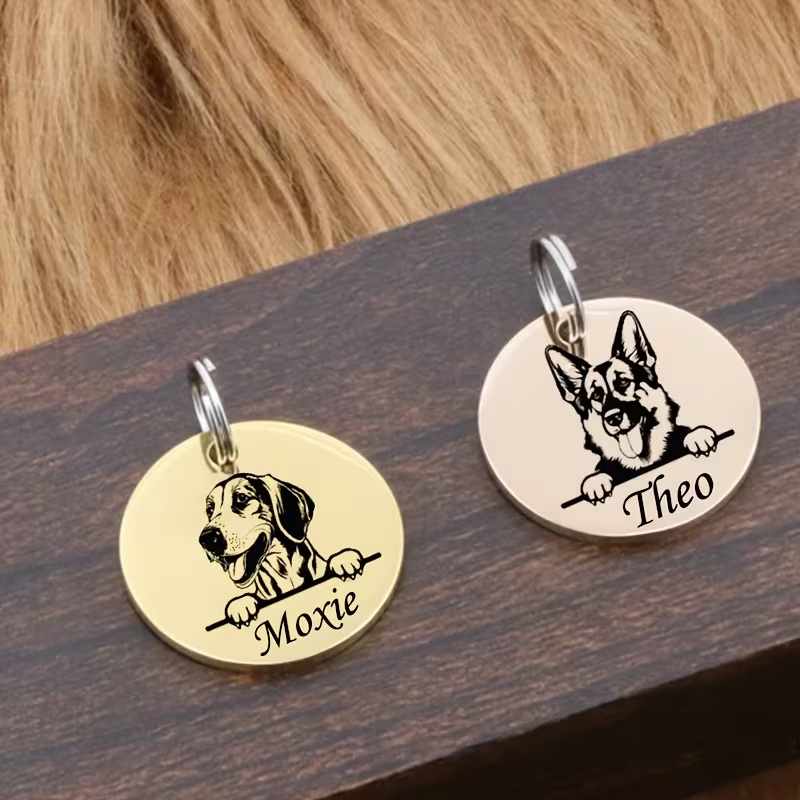 Collares Antipérdida Personali - Pet Supplies Discount reseña y precio