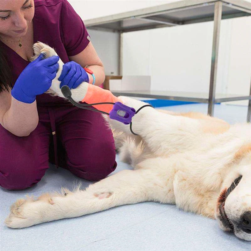 Torniquete Veterinario de Plás - Pet Supplies Discount reseña y precio